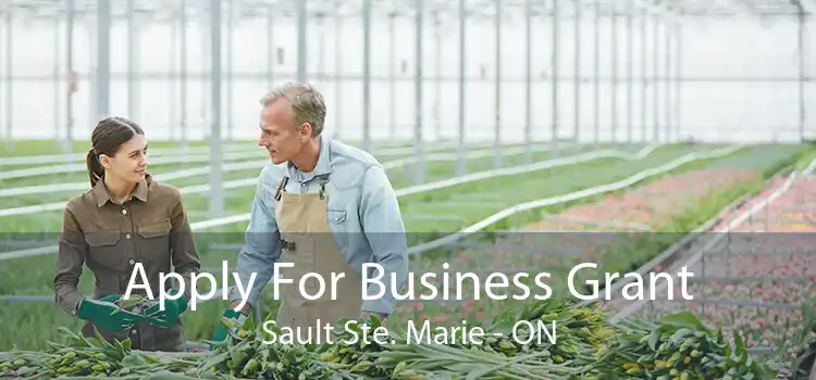 Apply For Business Grant Sault Ste. Marie - ON